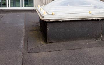 disadvantages of Rhewl Mostyn flat roofs