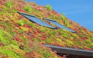 Rhewl Mostyn living roof systems