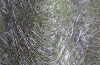 Rhewl Mostyn fibreglass roof work